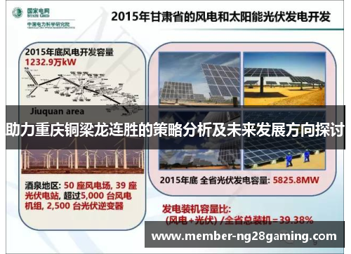 助力重庆铜梁龙连胜的策略分析及未来发展方向探讨 助力重庆铜梁龙连胜的策略分析及未来发展方向探讨