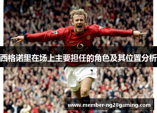 西格诺里在场上主要担任的角色及其位置分析 西格诺里在场上主要担任的角色及其位置分析
