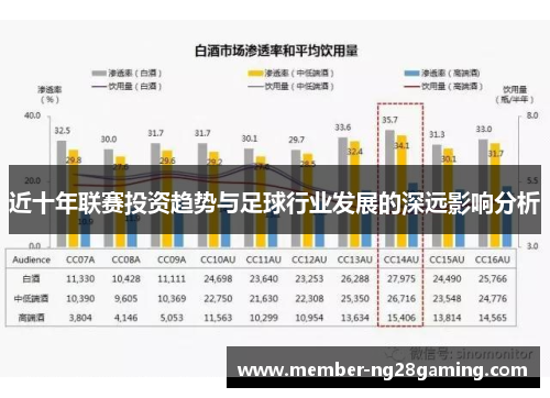 近十年联赛投资趋势与足球行业发展的深远影响分析 近十年联赛投资趋势与足球行业发展的深远影响分析