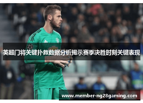 英超门将关键扑救数据分析揭示赛季决胜时刻关键表现