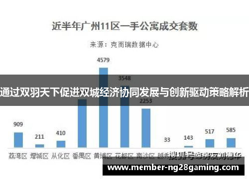 通过双羽天下促进双城经济协同发展与创新驱动策略解析